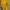 Sportswear Jersey Pria yellow photo 4
