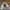 Adidas Streetwear Skater Sneakers Pria white photo 4