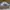 Adidas Streetwear Skater Sneakers Pria white photo 3
