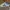Adidas Streetwear Skater Sneakers Pria white photo 1