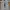 Adidas Streetwear Skater Sneakers Pria white photo 8