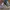 Adidas Streetwear Skater Sneakers Pria navy photo 4