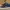 Nike Streetwear Skater Sneakers Pria black photo 1