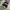 Dickies Sportswear Windbreaker Pria black photo 3
