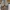 Nike Streetwear Skater Sneakers Pria tan brown photo 2