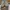 Nike Streetwear Skater Sneakers Pria Tan Brown
