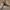 Nike Streetwear Skater Sneakers Pria tan brown photo 3