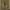 Nike Streetwear Skater Sneakers Pria tan brown photo 6
