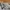 Nike Streetwear Skater Sneakers Pria tan brown photo 5
