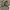Nike Streetwear Skater Sneakers Pria tan brown photo 4
