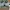 Nike Streetwear Skater Sneakers Pria gray photo 6
