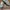 Nike Streetwear Skater Sneakers Pria gray photo 4