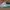 Nike Streetwear Skater Sneakers Pria gray photo 1