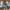 Nike Streetwear Skater Sneakers Pria gray photo 3