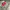 Vintage Windbreaker Pria cream gray photo 4