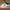 Nike Streetwear Skater Sneakers Pria white black photo 1