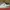 Nike Streetwear Skater Sneakers Pria White Black