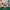 Adidas Forest Groove Chalk Pearl photo 1