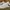 Nike Streetwear Skater Sneakers Pria white photo 3