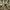 Nike Streetwear Skater Sneakers Pria white photo 4