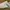 Nike Streetwear Skater Sneakers Pria white photo 1