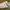 Nike Streetwear Skater Sneakers Pria White