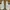 Nike Streetwear Skater Sneakers Pria white photo 2