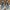Nike Streetwear Skater Sneakers Pria white blue photo 2