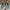 Nike Streetwear Skater Sneakers Pria White Blue