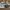 Nike Streetwear Skater Sneakers Pria white blue photo 3