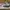 Nike Streetwear Skater Sneakers Pria white blue photo 1