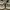 Nike Streetwear Skater Sneakers Pria white blue photo 4