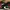 Nike Streetwear Skater Sneakers Pria black red photo 3
