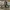 Nike Streetwear Skater Sneakers Pria gray photo 4