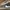 Nike Streetwear Skater Sneakers Pria gray photo 1