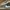 Nike Streetwear Skater Sneakers Pria Gray