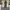 Nike Streetwear Skater Sneakers Pria Gray