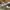 Nike Streetwear Skater Sneakers Pria gray photo 3