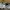 Nike Sportswear Sneakers Pria white gray photo 3