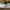 Nike Sportswear Sneakers Pria white gray photo 1