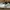 Nike Sportswear Sneakers Pria White Gray