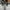 Nike Sportswear Sneakers Pria white gray photo 2