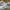 Nike Streetwear Skater Sneakers Pria white gray photo 3