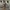 Nike Streetwear Skater Sneakers Pria white gray photo 4