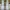 Nike Streetwear Skater Sneakers Pria white gray photo 2