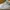 Nike Streetwear Skater Sneakers Pria white gray photo 1
