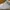 Nike Streetwear Skater Sneakers Pria White Gray