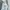 Columbia Streetwear Gorpcore Track jacket Pria blue photo 2