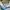 Columbia Streetwear Gorpcore Track jacket Pria blue photo 6