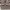 Nike Streetwear Skater Sneakers Pria burgundy white photo 5